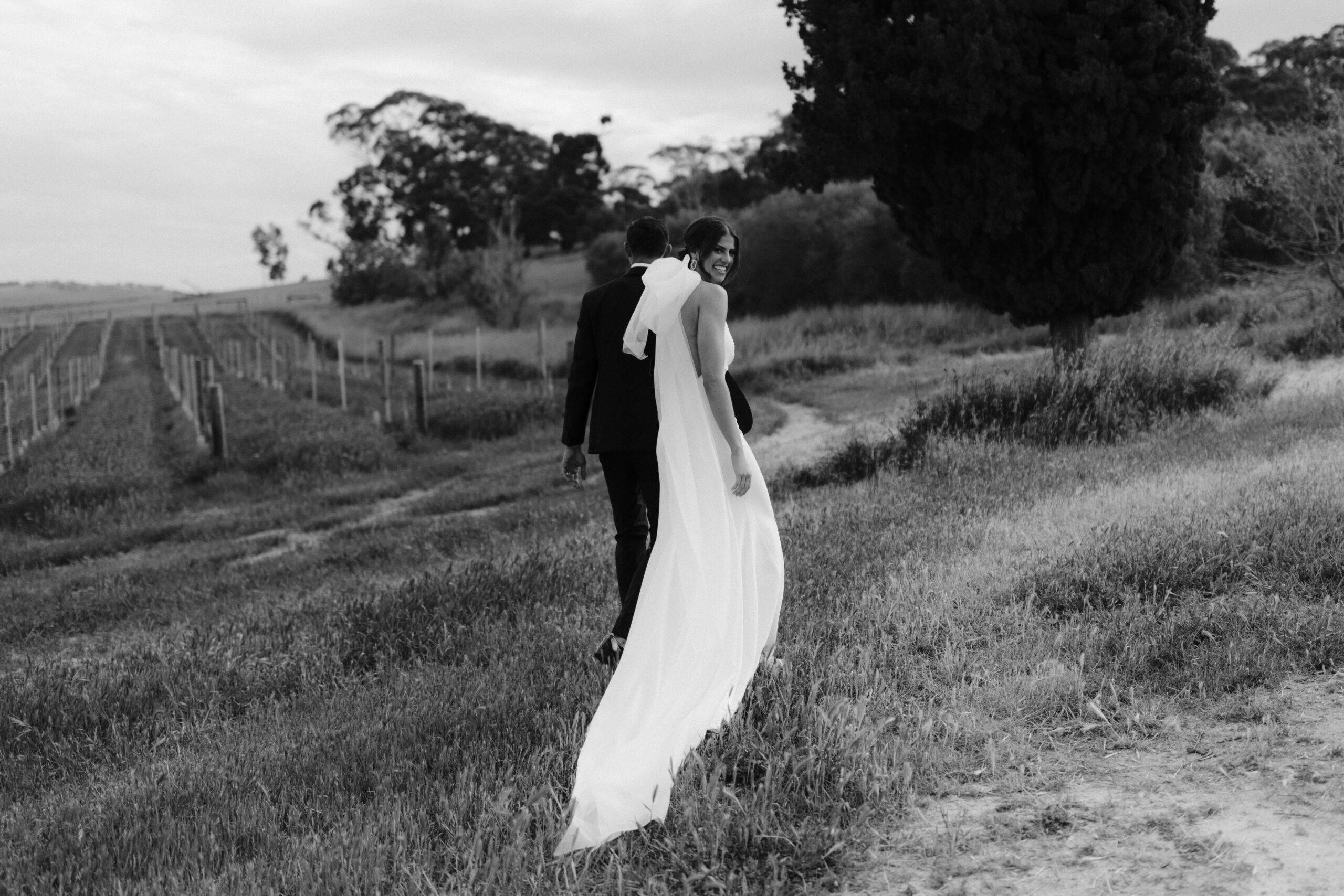 A black and white shot of Olivia and Patrick walking away from the camera amongst vineyards and olive trees